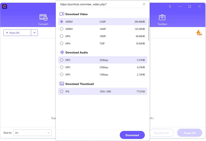 choose vieo format